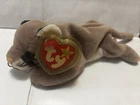 Ty Beanie Baby: Canyon the Cougar New With Tags MWMTs Retired VTG Fast Shipping