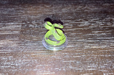 Giant Poisonous Snake D&D Miniature Bigby Glory Giants mini Dungeons Dragons