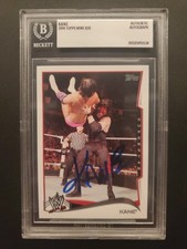 2014 Topps WWE Autographs Gallery and Guide 29