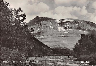TAMOKDAL TROMS. NORWEGEN~OVERGARD~MITTET FOTO POSTKARTE 1950er