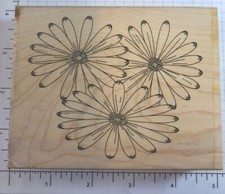 Stamp It Daisies Trio wood mount rubber stamp