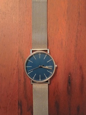Skagen Signatur Blue Dial Men's Watch SKW6904