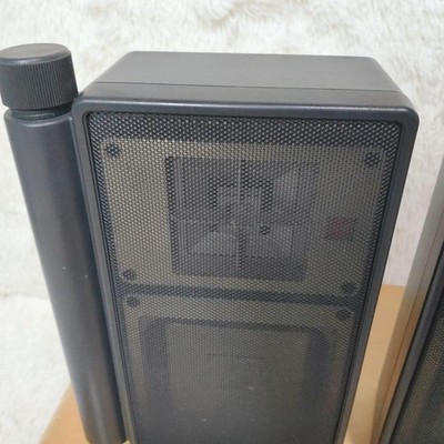 Sony APM-X5A Flat Panel 2-Way Speakers Pair Magnetic Shielded