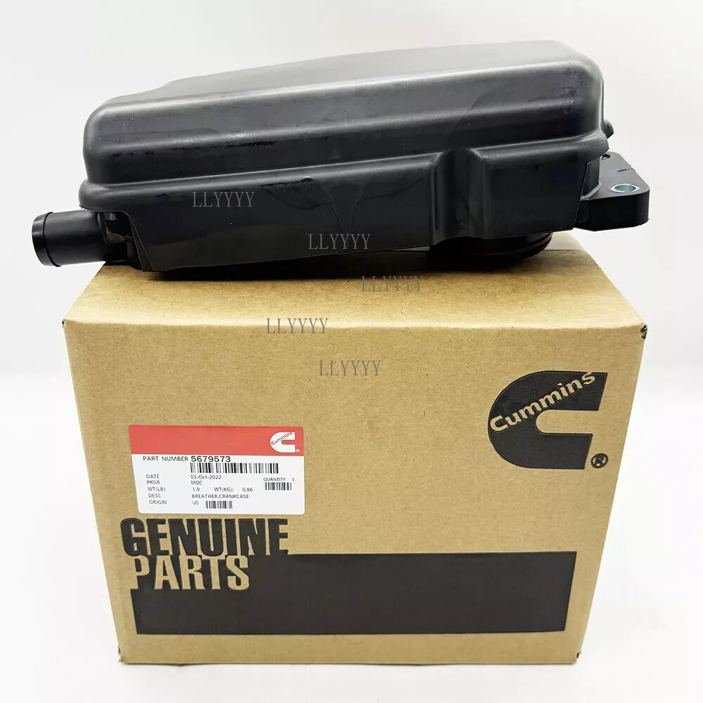 かめちゃん 動物のカメちゃん (1) (少年サンデーコミックス) | 噌西 けんじ |本