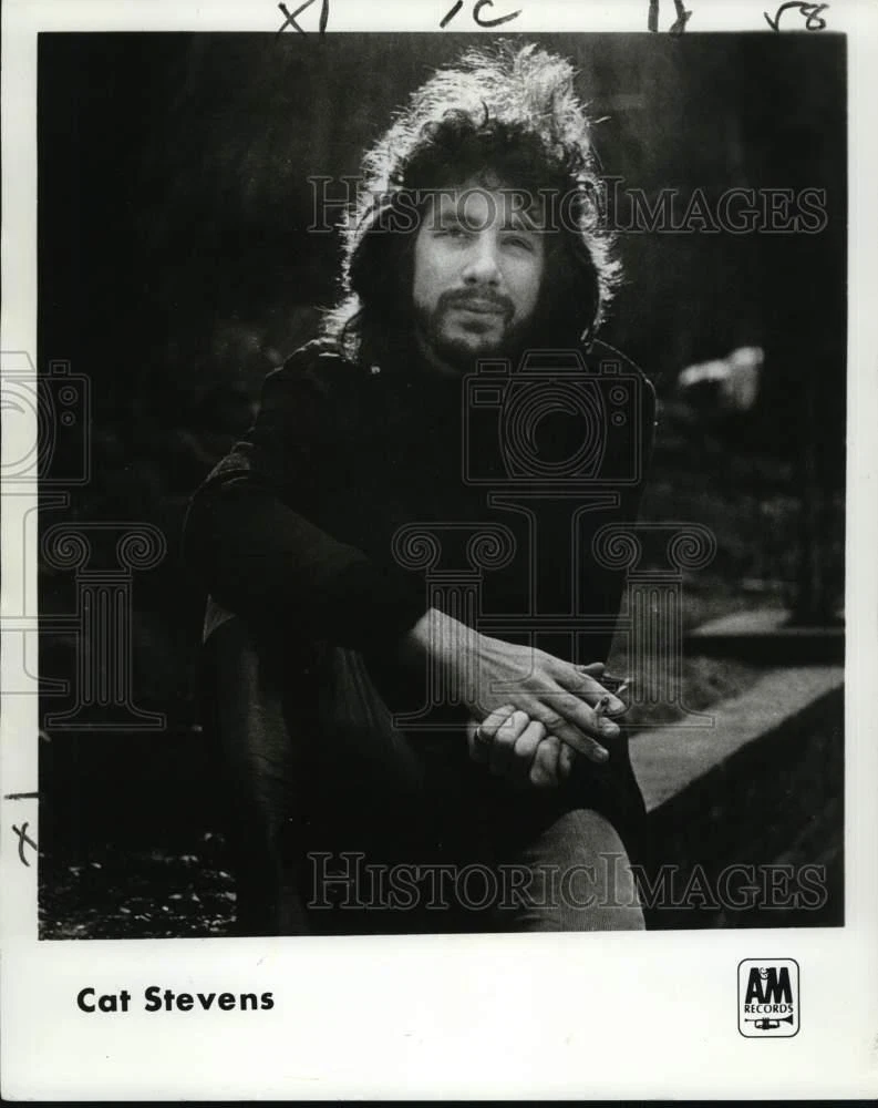 1971 Press Photo Cat Stevens, singer for A&M Records. - nox54141 - 画像1/2