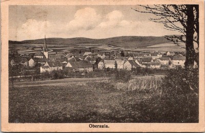 Oberaula Germany Scenic Village Landscape Vintage Postcard