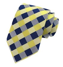 Men's Gingham Check Stripe Ties Pattern Business Formal One Size Yellow Blue