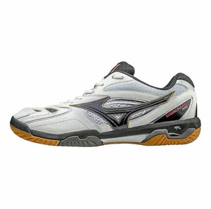 mizuno indoor