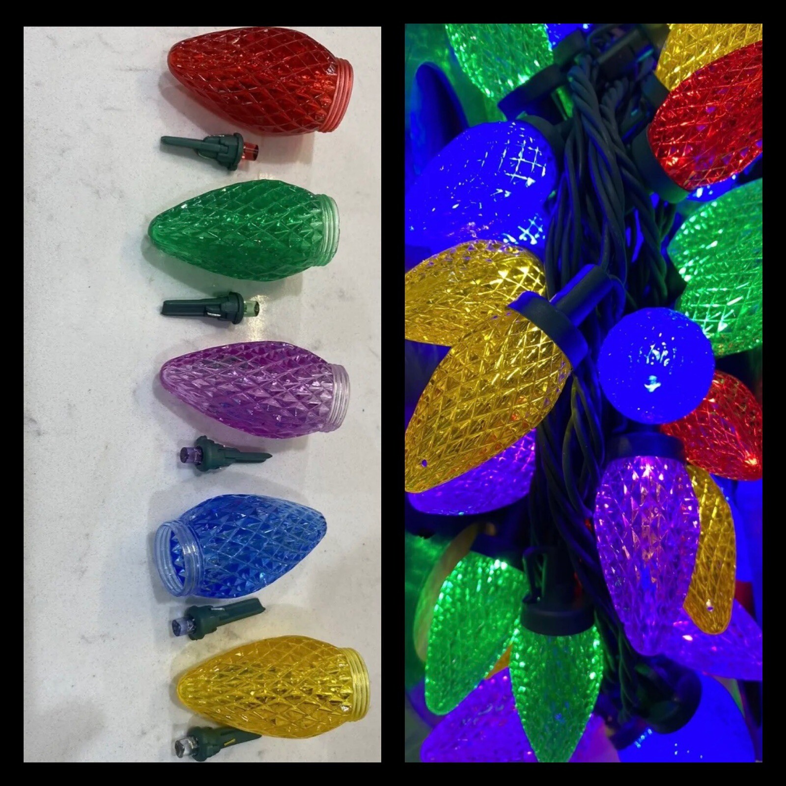 And Shells 5 Ct Multicolor