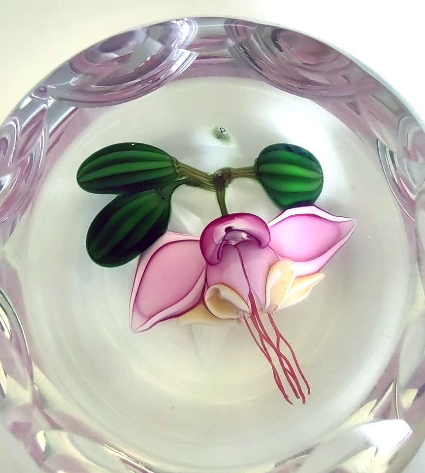 Perthshire 1987C Theobroma Cacao Flower Scallop Faceted Lampwork Paperweight - Image 2 of 4