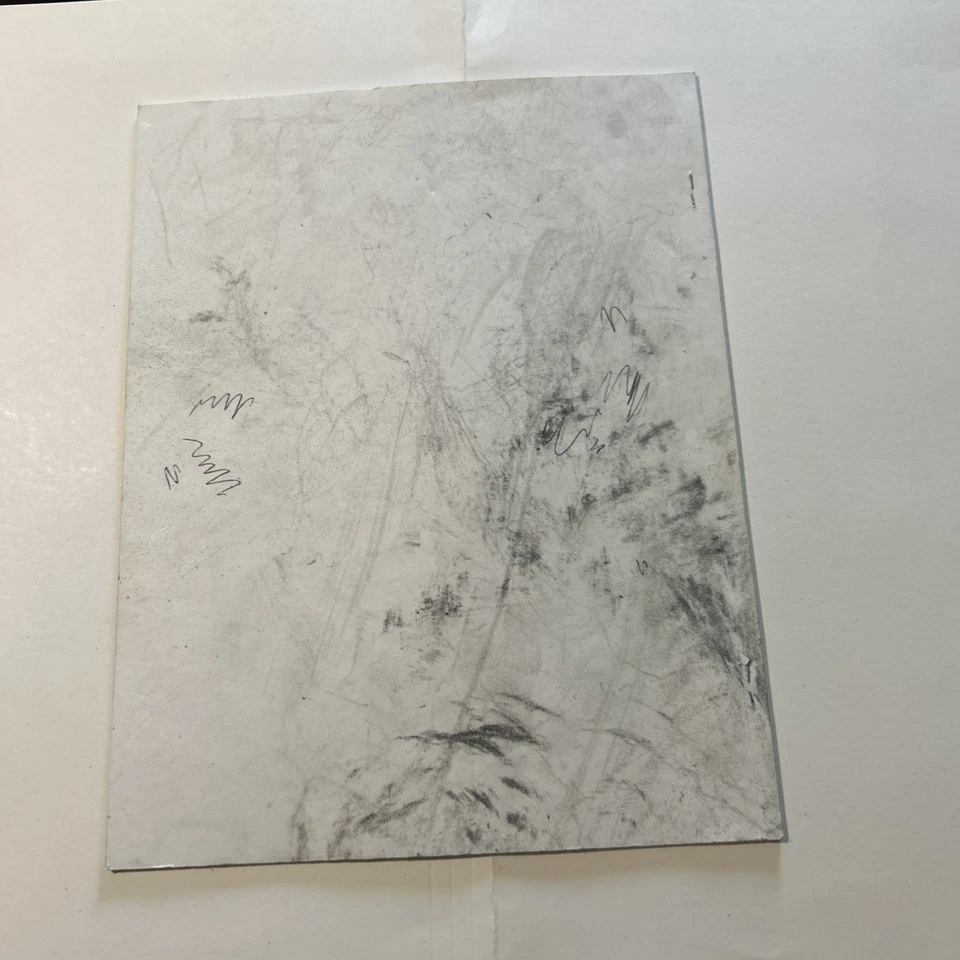 original Factory  arcade video game manual Fisherman'S Bait Bass Challenge - Image 2 of 4