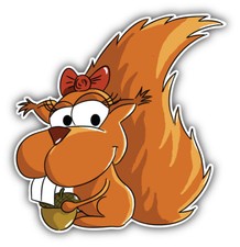 Funny Squirrel Art Decor Car Bumper Sticker "SIZES"