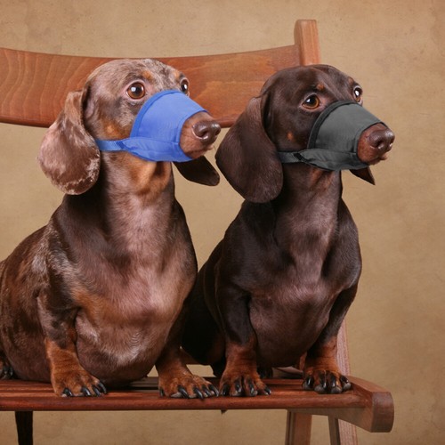 Adjustable Nylon Pet Dog Safety Muzzle Muzzel Biting Barking Chewing All Sizes - Picture 2 of 17