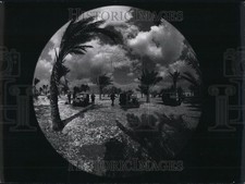 Press Photo Palm Trees Sway At Night As Troops Stand By Their Vehicles