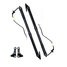 Electric Liftgate Struts Compatible with 2015-2017 Lexus NX200t NX300h, Power
