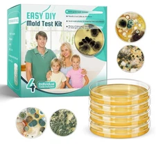 Mold Test Kit for Home Detection: 4 Simple DIY Science Kits for Fastly Testin...