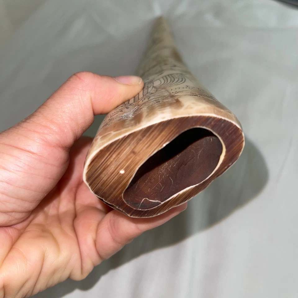 Reproducción de resina vintage Scrimshaw Tusk 14 The Ship Regulus Captain James Hoad Foto 4 de 4