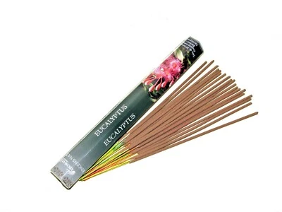 Pur Encens à l'Eucalyptus 100% naturel - Parfum intense fraicheur pureté
