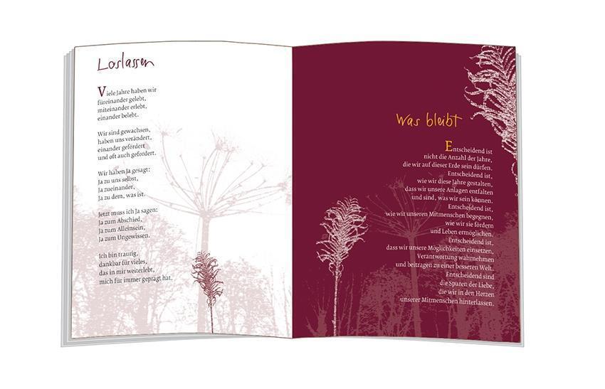 Thumbnail - Max Feigenwinter | Deine Spur In Meinem Herzen | Taschenbuch | Deutsch