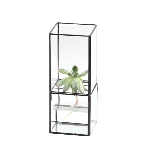 Glass Rectangular Plant Baskets, Pots, Window Bowls