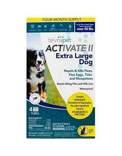 online flea medicine