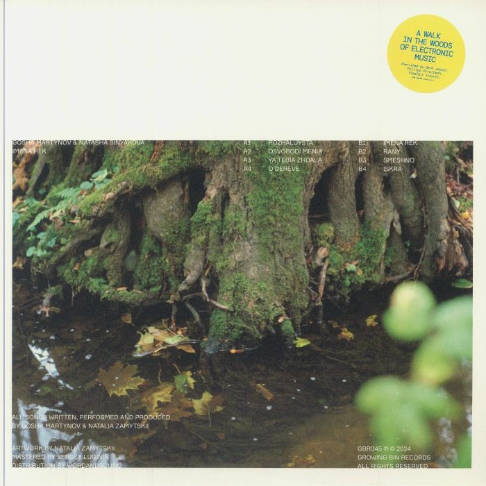 MARTYNOV, Gosha/NATASHA SINYAKOVA - Imena Rek - Vinyl (LP)