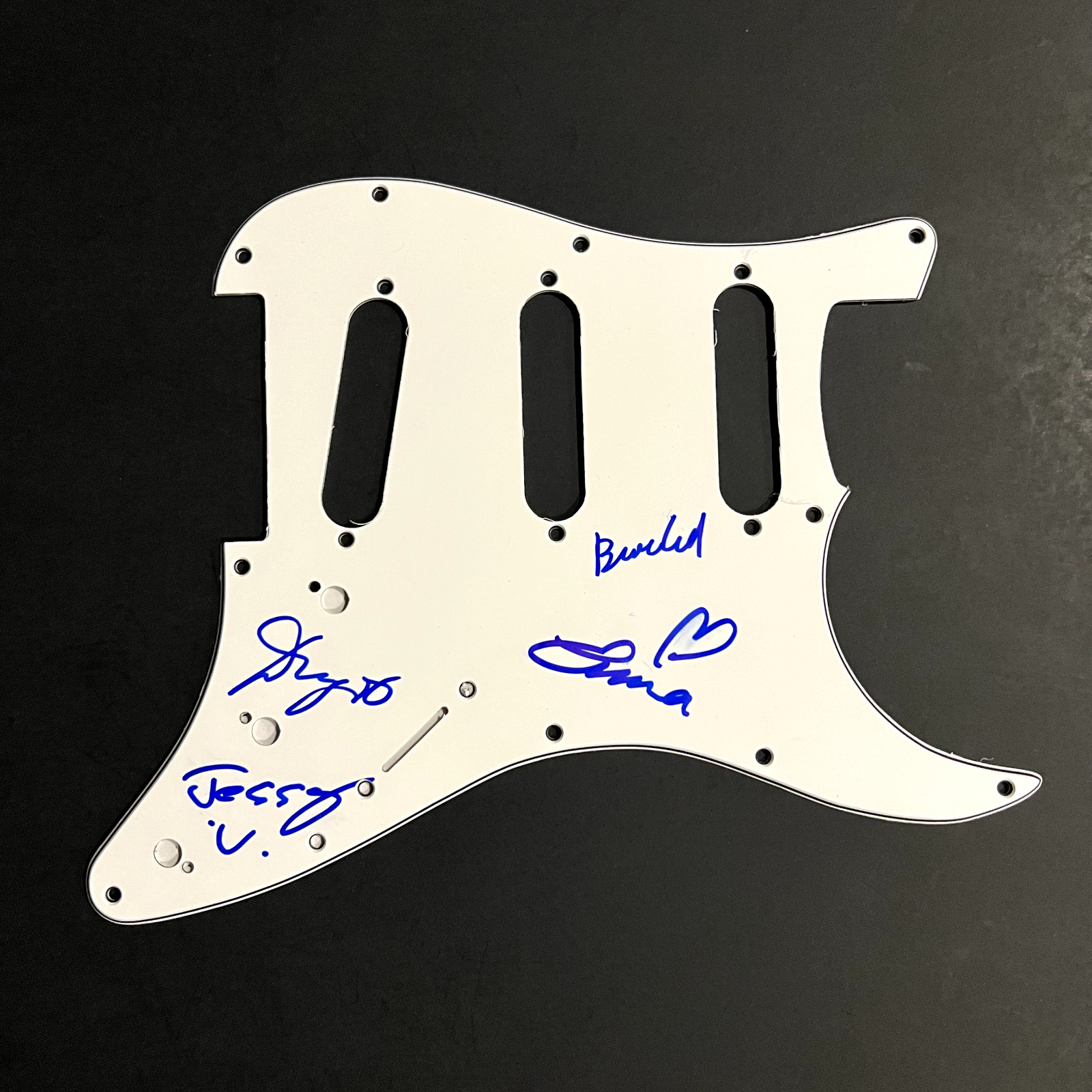 Signed Stratocaster Pickguard