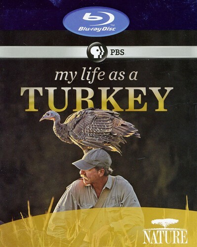 My Life as a Turkey - Blu-ray - Picture 1 of 1