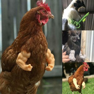 Arms For Chicken Fist Arms Meme Thumbs Up Chicken Toy Decor Prank Gift Us Ebay