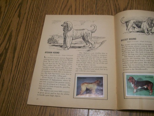 1966 THE GOLDEN STAMP BOOK OF DOGS EDITION GERMAN SHEPHERD PUG TERRIER POODLE - Foto 8 di 10