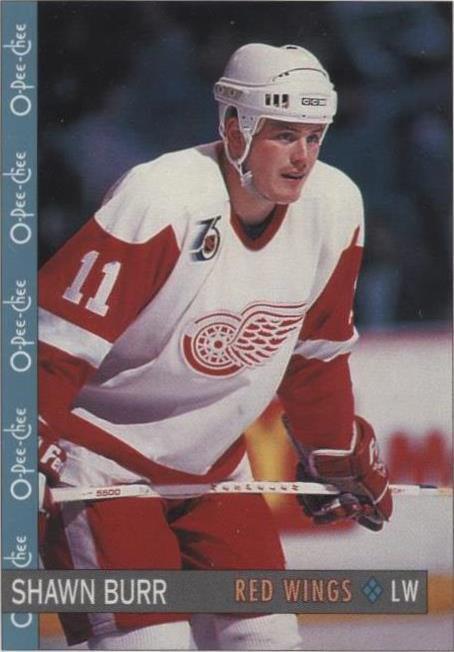 1992-93 O-Pee-Chee - Shawn Burr #24 - 1 of 1