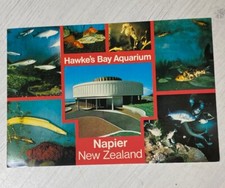 Postal de colección Nueva Zelanda Hawkes Bay acuario Napier Tiki multi vista caballito de mar