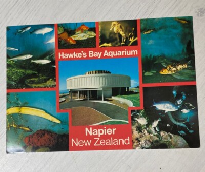 Vintage Postcard New Zealand Hawkes Bay Aquarium Napier Tiki Multi View Seahorse