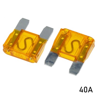 299526_3