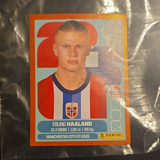 Panini FIFA World Cup 2026 Sticker Erling Haaland NOR 15 Red Border