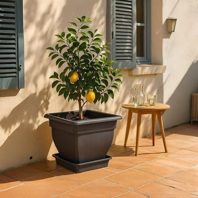Pflanzkübel XXL Pflanztopf groß 60x60 Blumentopf Außen Blumenkübel Innen Grau