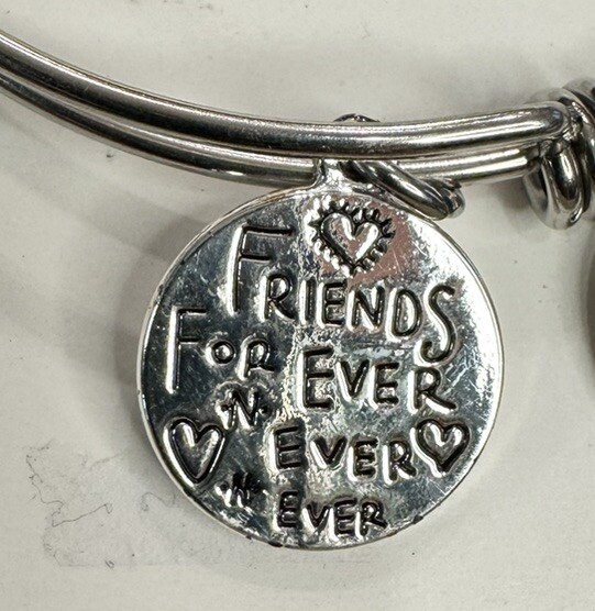 Footnotes “Friends Forever” Charm * Missing Charm… - image 4