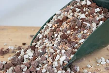 Pre Mix Medium Lava, Pumice & Turface for Bonsai, Succulent - Inorganic Additive