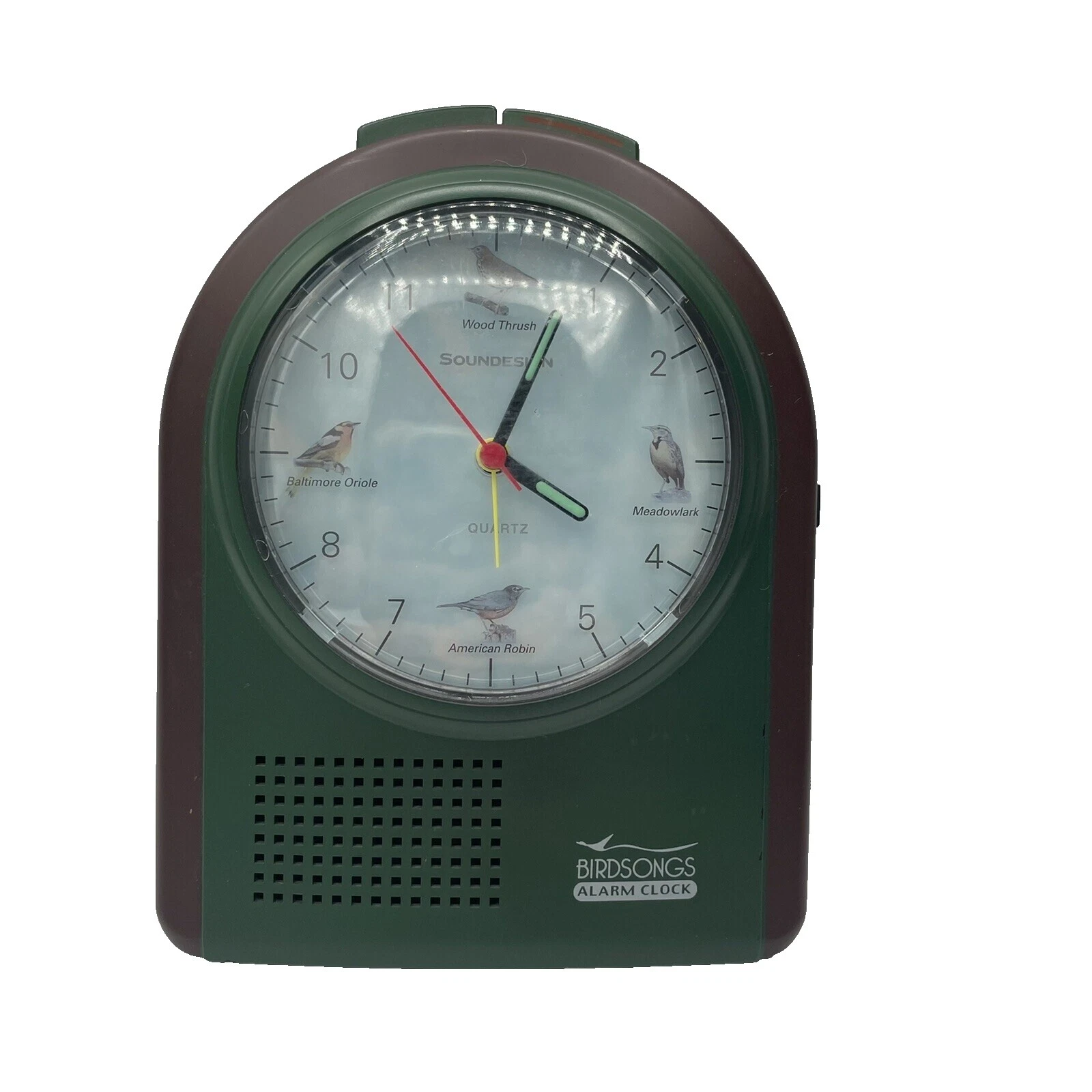 Relojes despertadores de contemporánea de aves y Radio Reloj