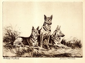 Antique German Shepherd Print Vintage Diana Thorne Wall Art Decor 6615Q