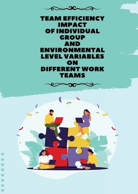 Team Efficiency Impact of Individual Group and Environmental Level Variables on