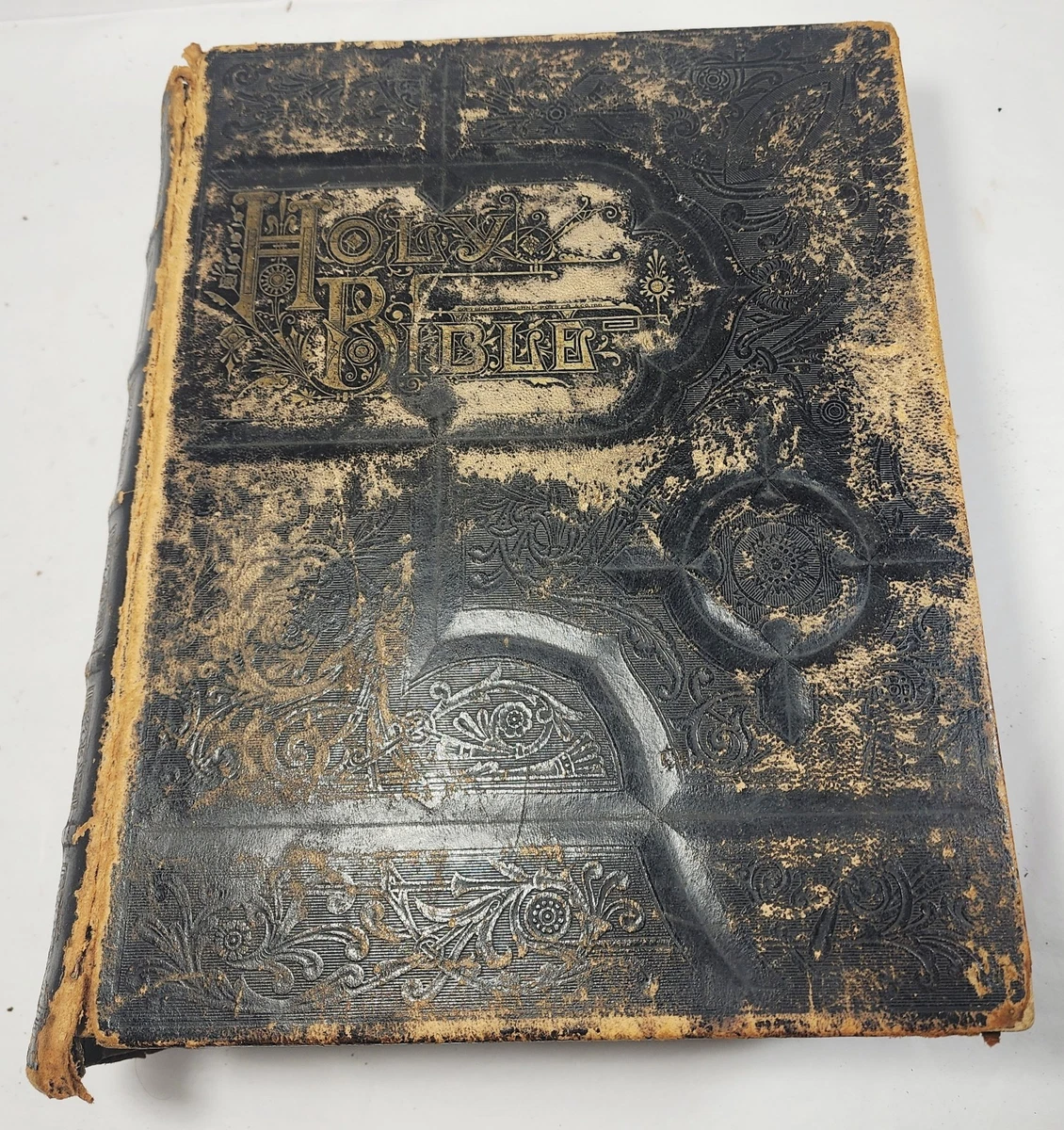 family bible genealogy products for sale | eBay