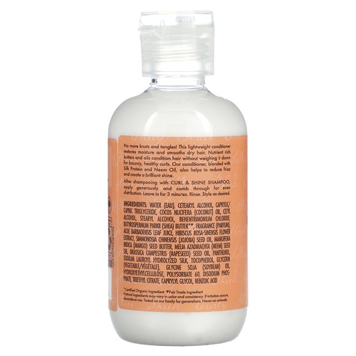 Curl & Shine Conditioner, Thick, Curly Hair, Coconut & Hibiscus, 3.2 fl oz (95 - 第 2/2 張圖片