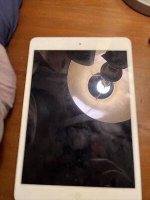 Apple iPad Mini. 64GB, Wi-Fi, 12.9 in - Space Gray- FOR PARTS