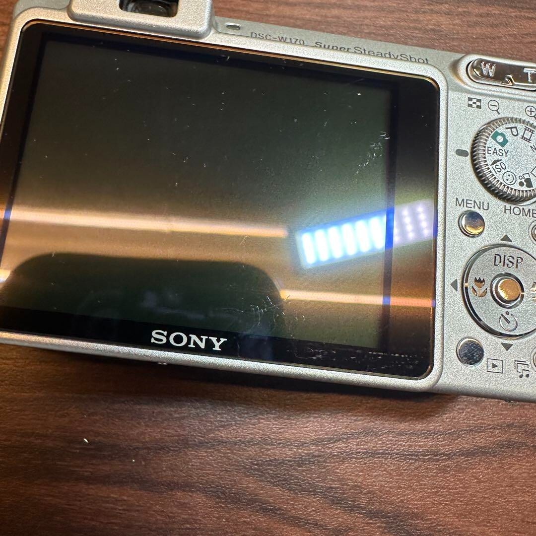 Sony Cyber-shot DSC-W170 10.1MP Digital Camera - Gold (with