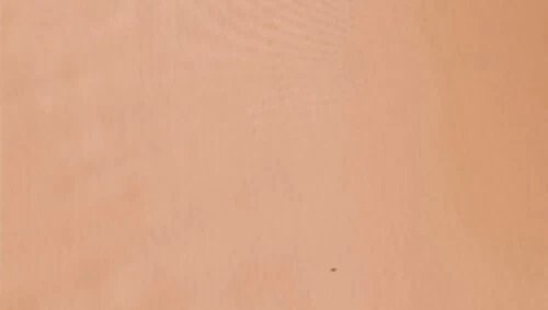 Tessuto per tendaggi, tovaglie, raso Rubin setoso diversi colori poliestere - Immagine 4 di 4