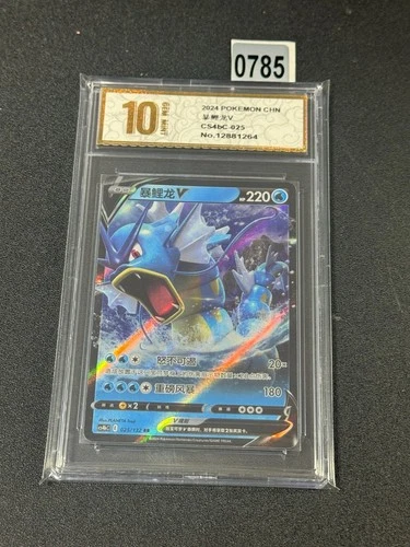 Gyarados V RR CS4bC-025/132 Pokemon Card Chinese Grade 10