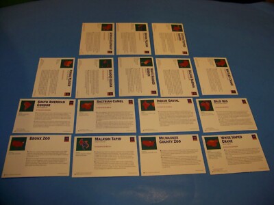 Zoo Animals Trading Cards Vintage 1992 (Mixed Lot of 16 Cards) | eBay