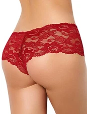 Women's Sexy Lace Ladyshort Panty Mesh Briefs Stretch Lingerie Underwear SIZE