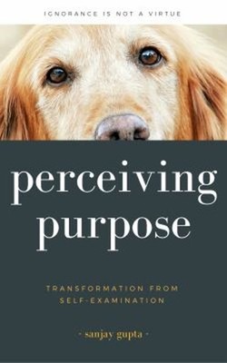 Perceiving Purpose Paperback Sanjay Gupta